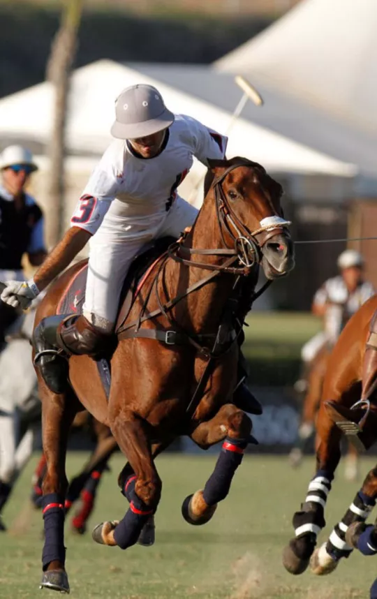LIDE Polo Experience