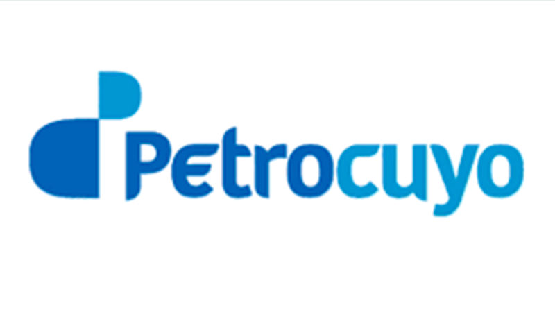 Logo partner
