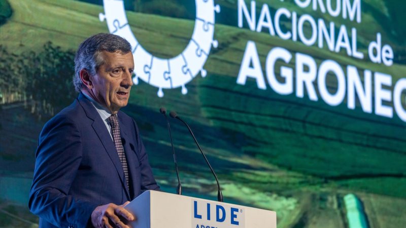 1 RdF XIII FNAg LIDE Argentina