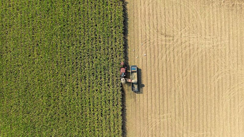 Adecoagro