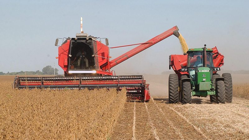 En soja, la proyección es de 15.350 millones de dólares, el nivel más alto desde la campaña 2013-2014 y con un alza del 40 % respecto al ciclo 2019-2020. EFE/Gustavo Ércole/Archivo