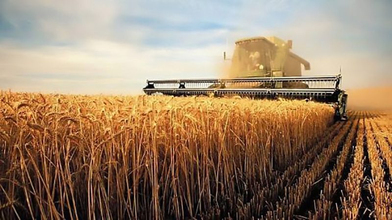 Agro