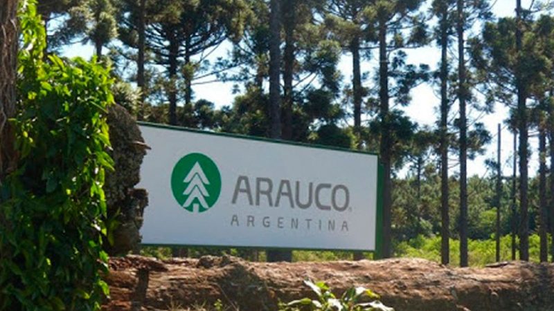 Arauco