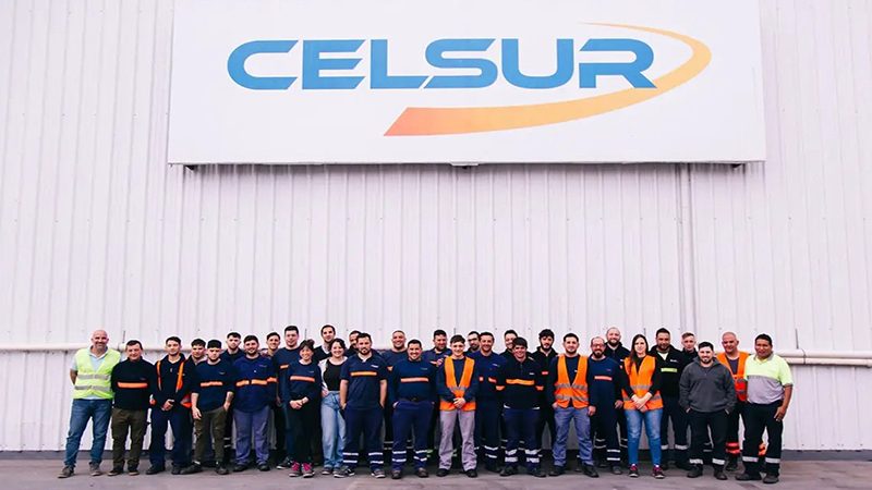 Celsur