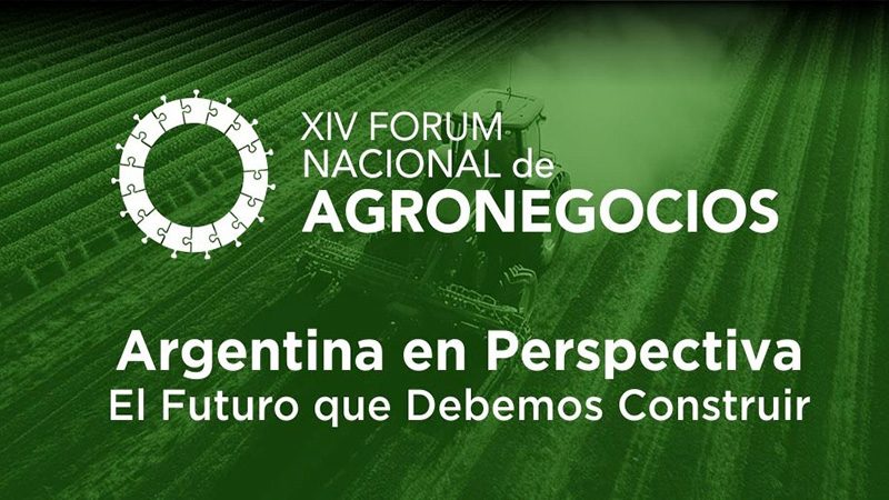 WhatsApp Image 2025-11-17 at 11.00.13